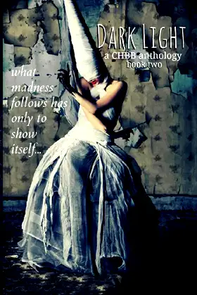 Dark Light Book Two poster