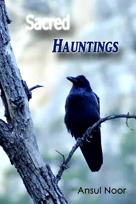 Sacred Hauntings: A Book of Supernatural Poetry poster