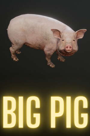 Big Pig poster