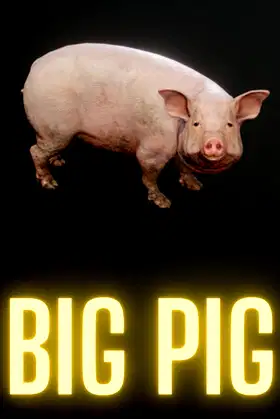 Big Pig poster