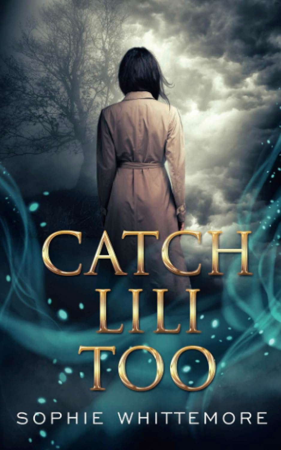 Catch Lili Too (Gamin Immortals) poster