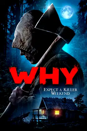 Why? poster