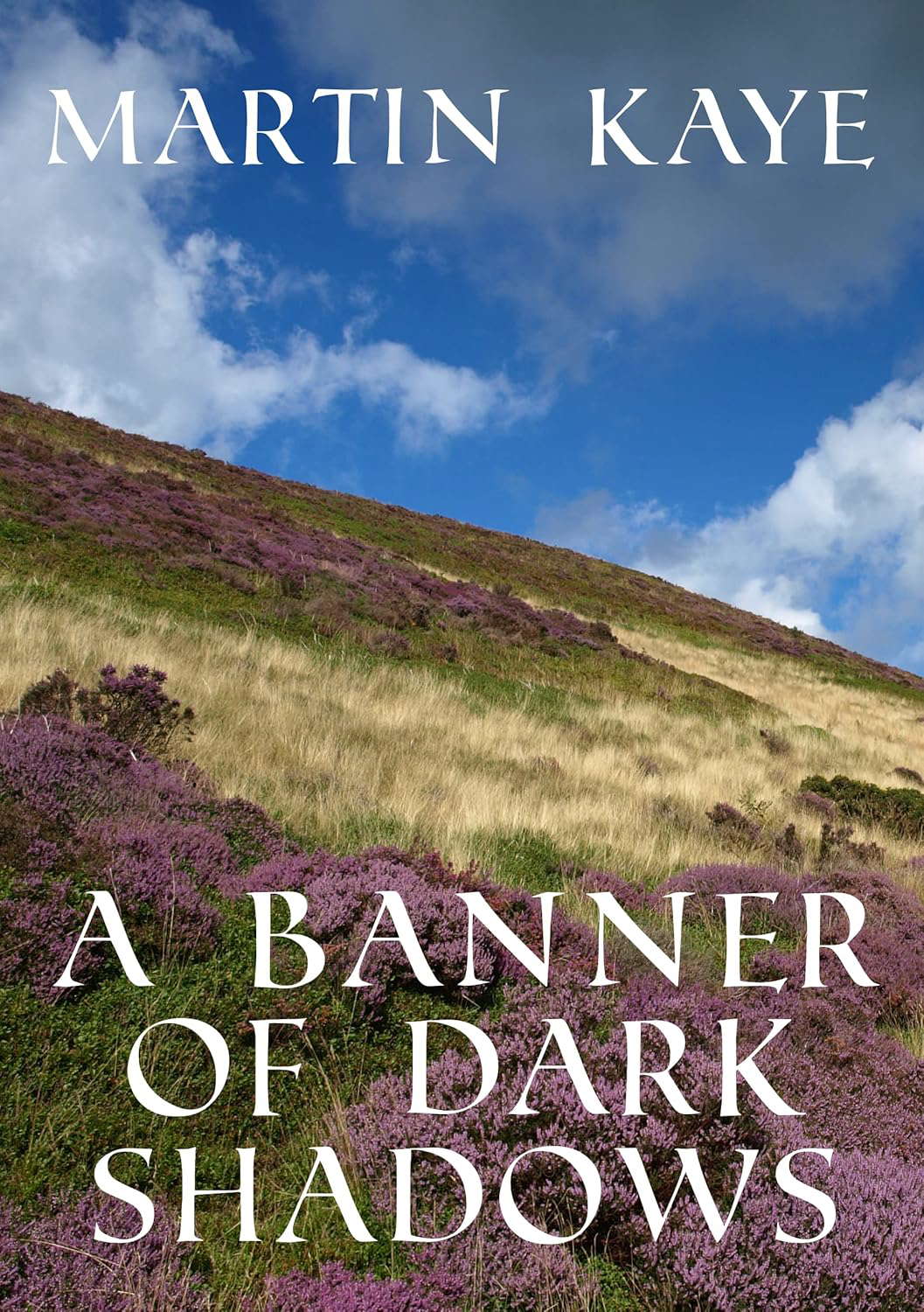A Banner of Dark Shadows (The On Badon Field Series Book 2) poster