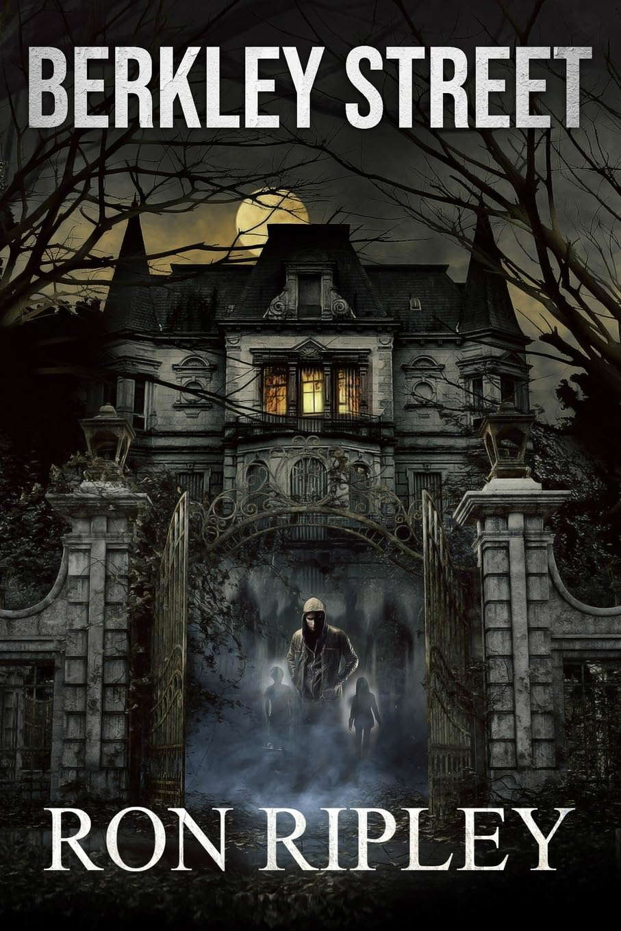 Berkley Street (Berkley Street Series) poster