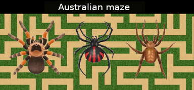 Australian maze capsule