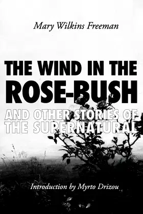 The Wind in the Rose-Bush: And Other Stories of the Supernatural poster