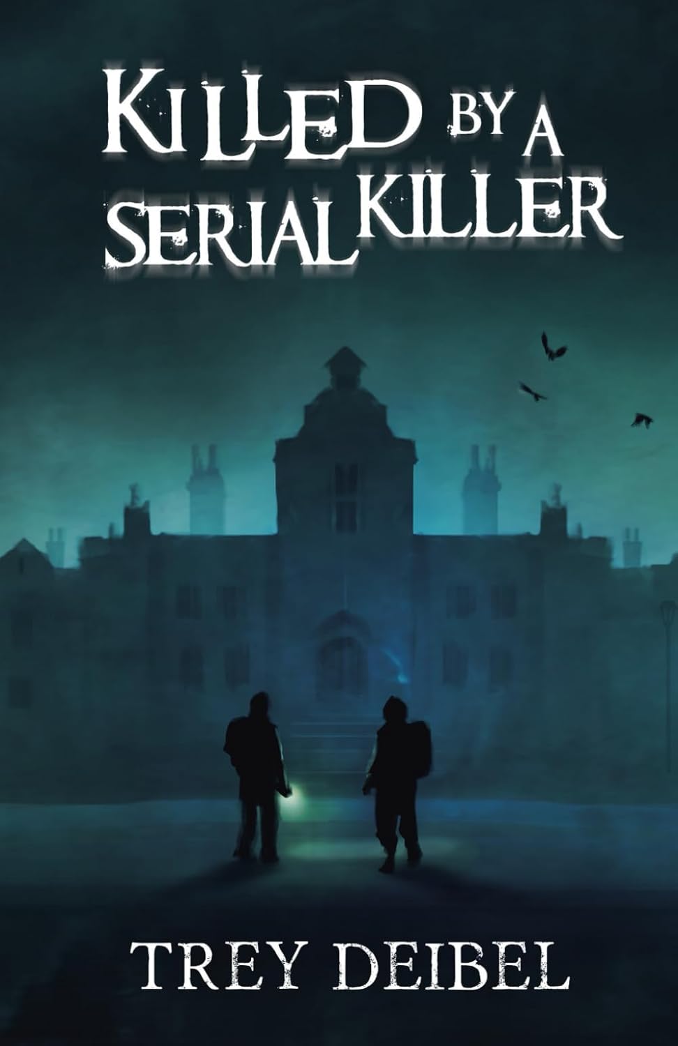Killed by a Serial Killer poster