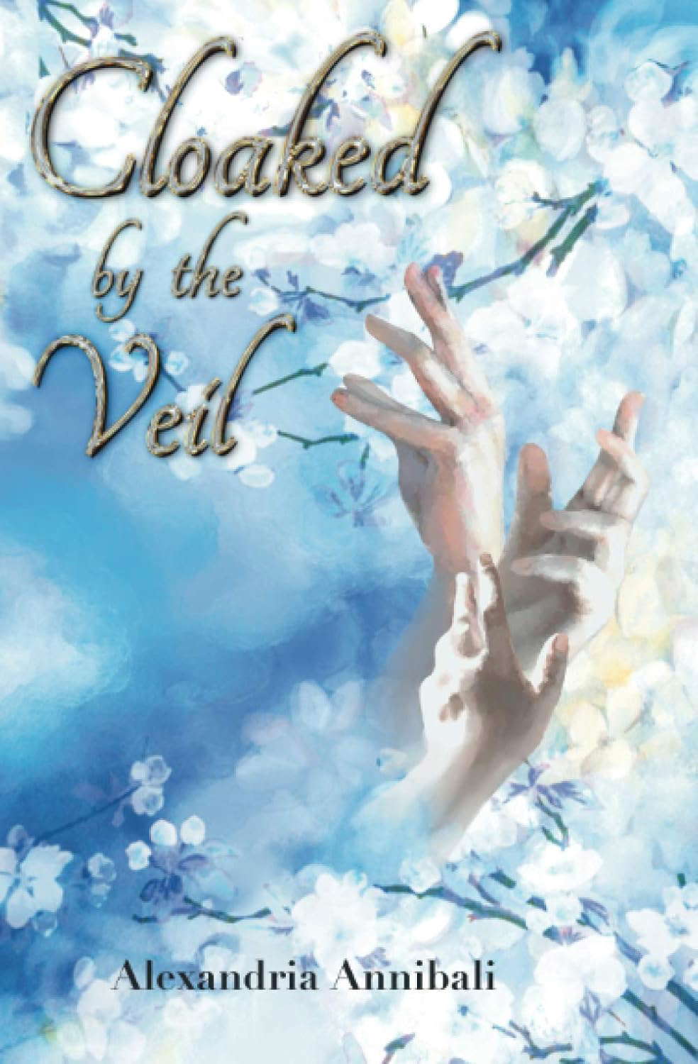 Cloaked by the Veil (Veil Trilogy) poster