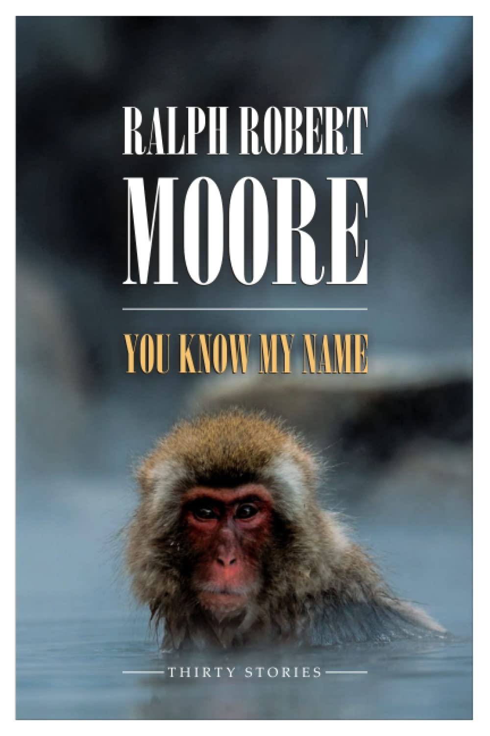 You Know My Name poster
