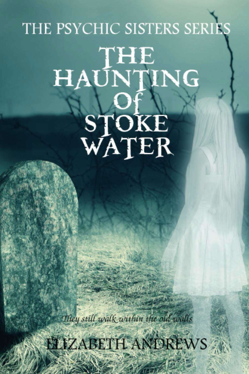 The Haunting of Stoke Water (The Psychic Sisters) poster