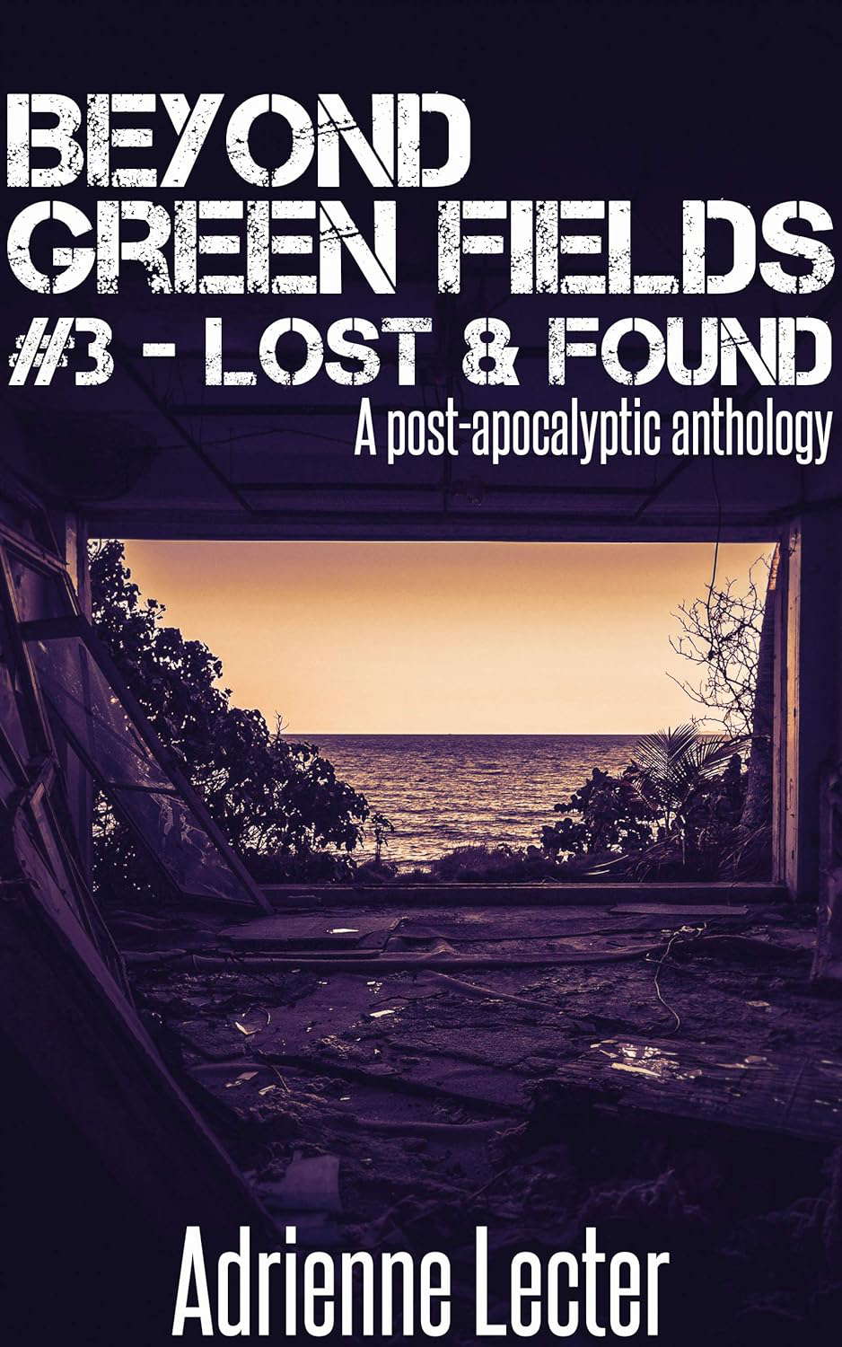 Beyond Green Fields #3 - Lost & Found: A post-apocalyptic anthology poster