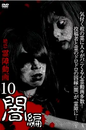 Terrifying Spirit Disturbance Video 10: Darkness Edition poster
