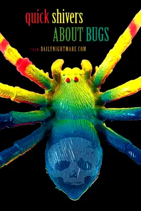 Quick Shivers about Bugs: from Dailynightmare.com poster