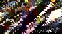 episode poster