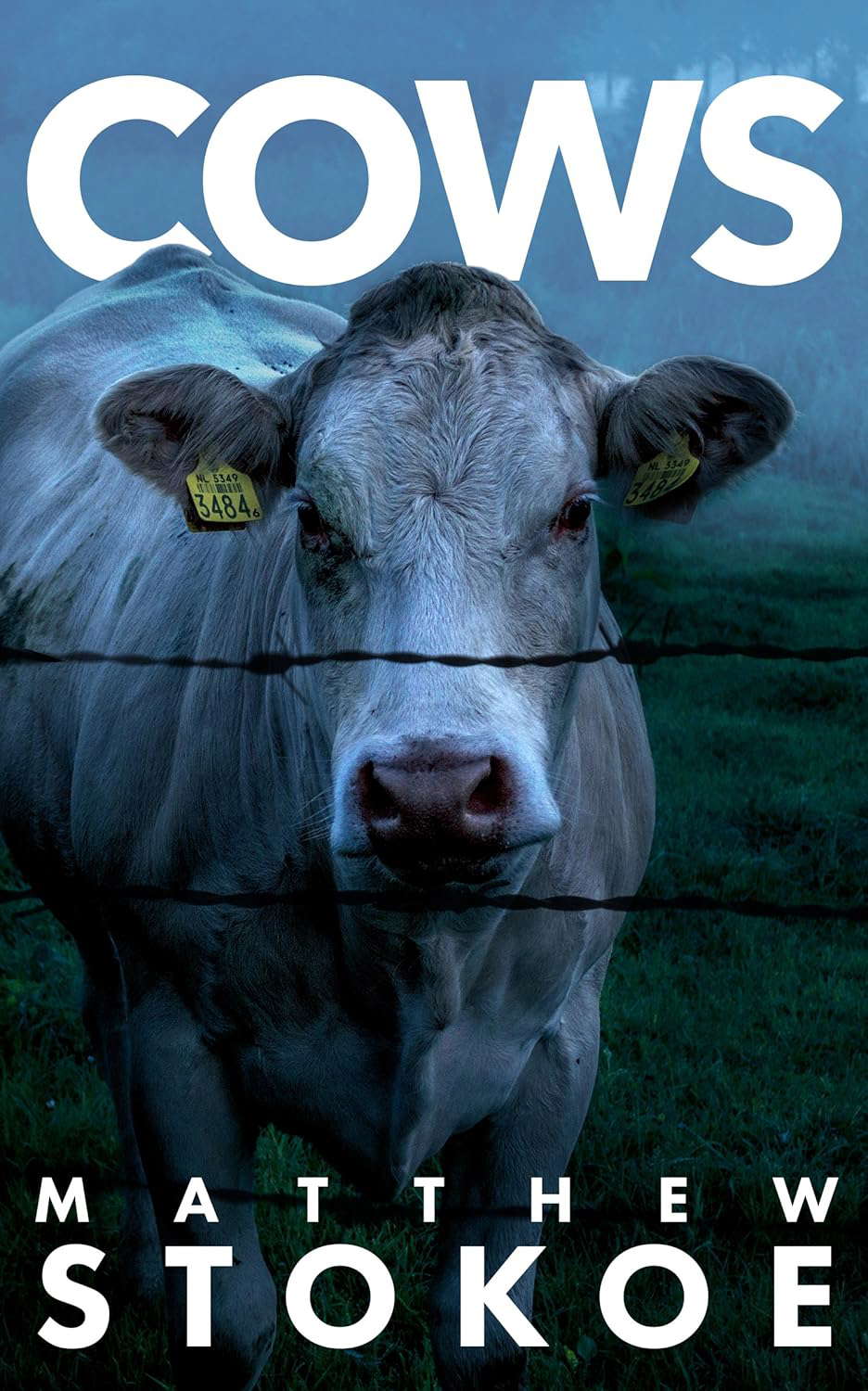COWS poster