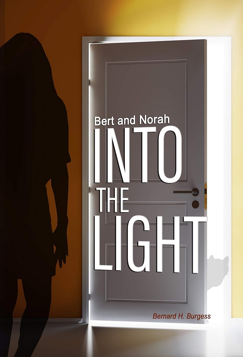 Bert and Norah: Into the Light (Bert and Norah Mysteries Book 3) poster