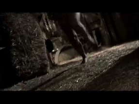 Ed Gein: The Butcher Of Plainfield - Trailer poster