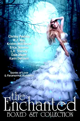 The Enchanted Box Set Collection poster