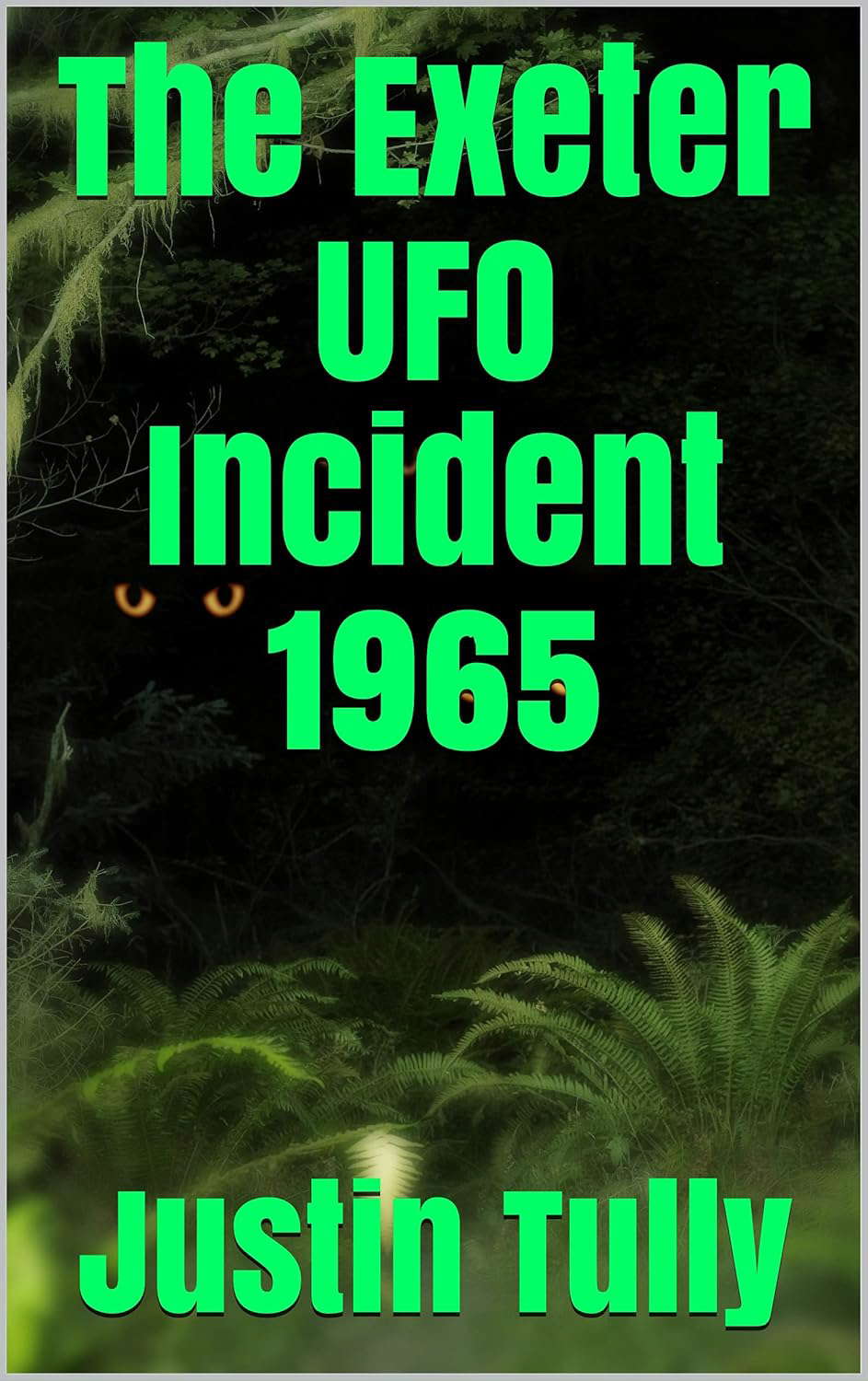 The Exeter UFO Incident 1965 poster