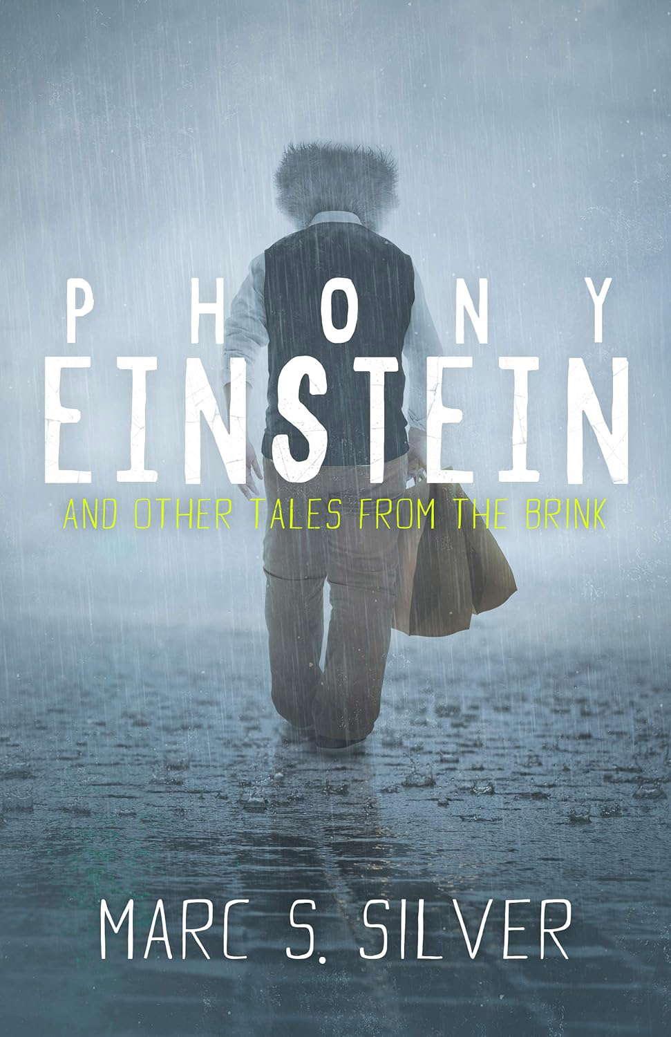Phony Einstein: and other tales from the brink poster