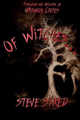 Of Witches... poster