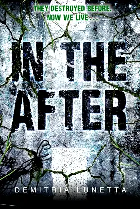 In the After (In the After, 1) poster