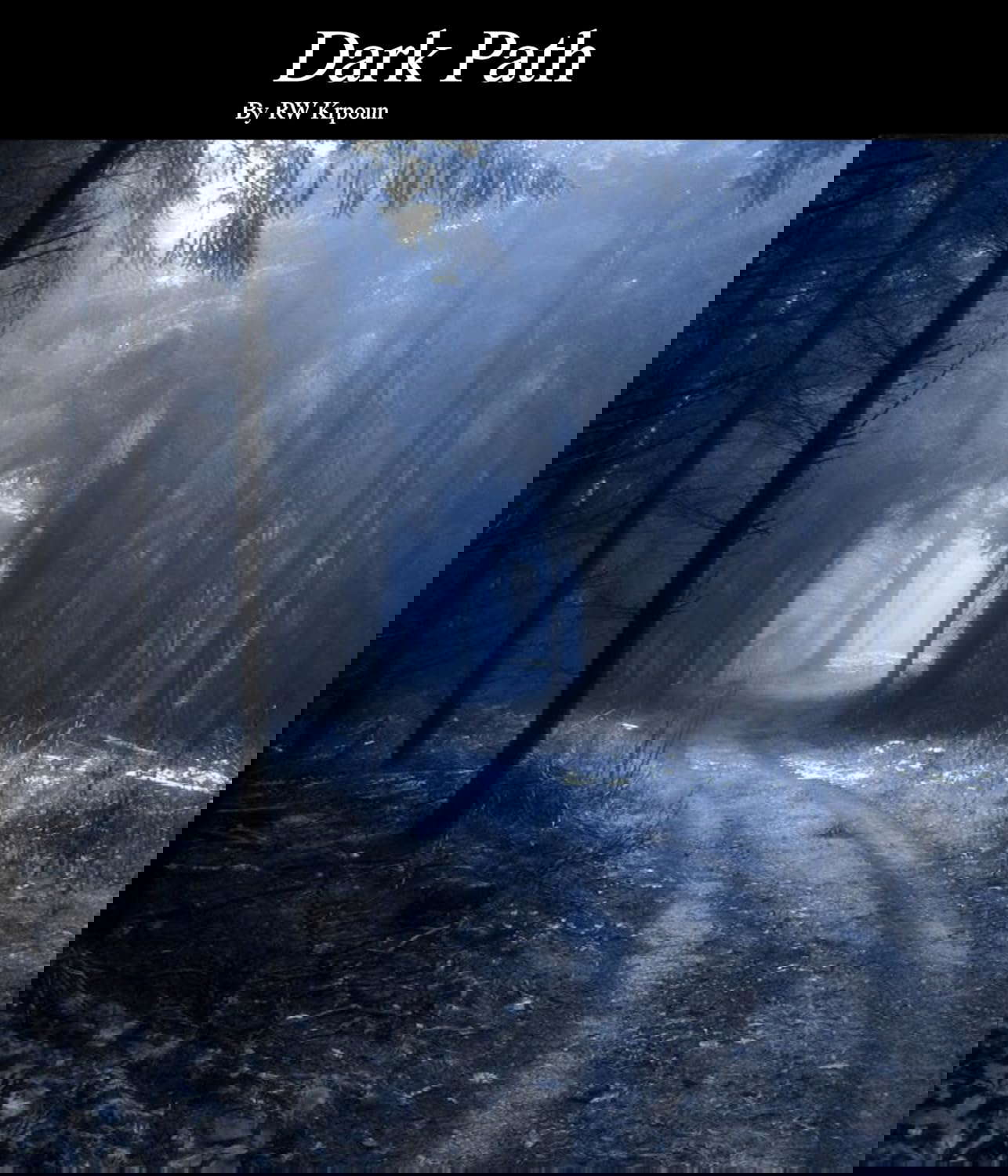 Dark Path: Book Three of the Phantom Badgers poster