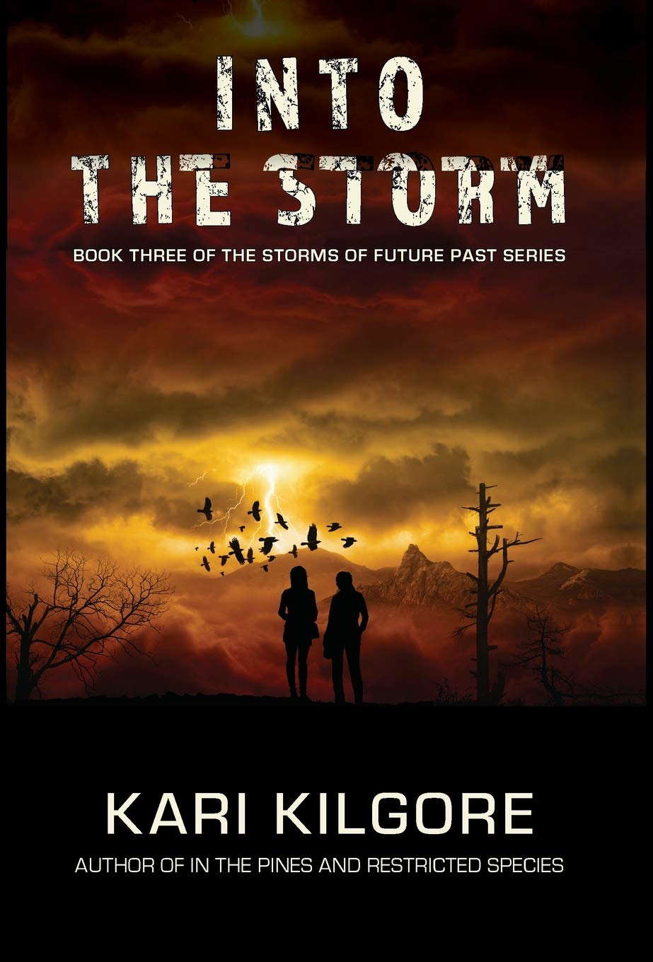 Into the Storm (Storms of Future Past) poster