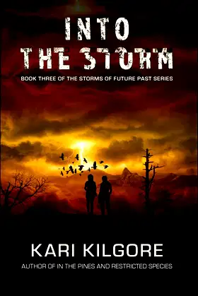 Into the Storm (Storms of Future Past) poster