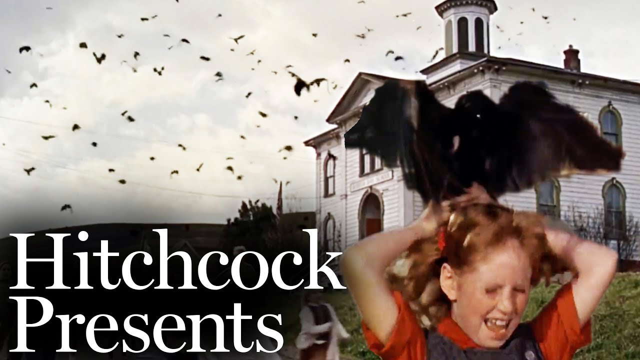 School's Out - The Birds | Hitchcock Presents
