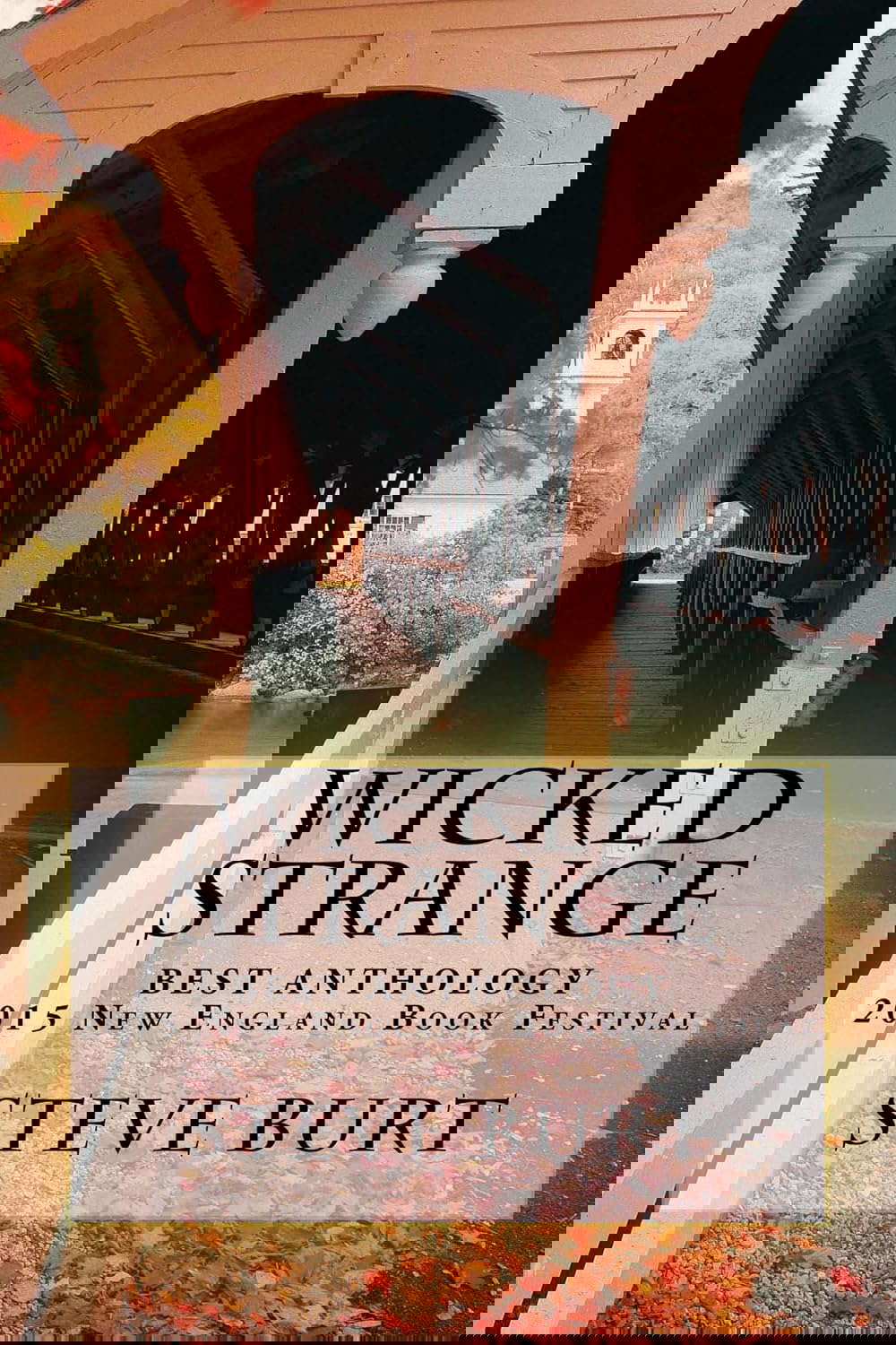 Wicked Strange: 2015 Best Anthology, New England Book Festival poster