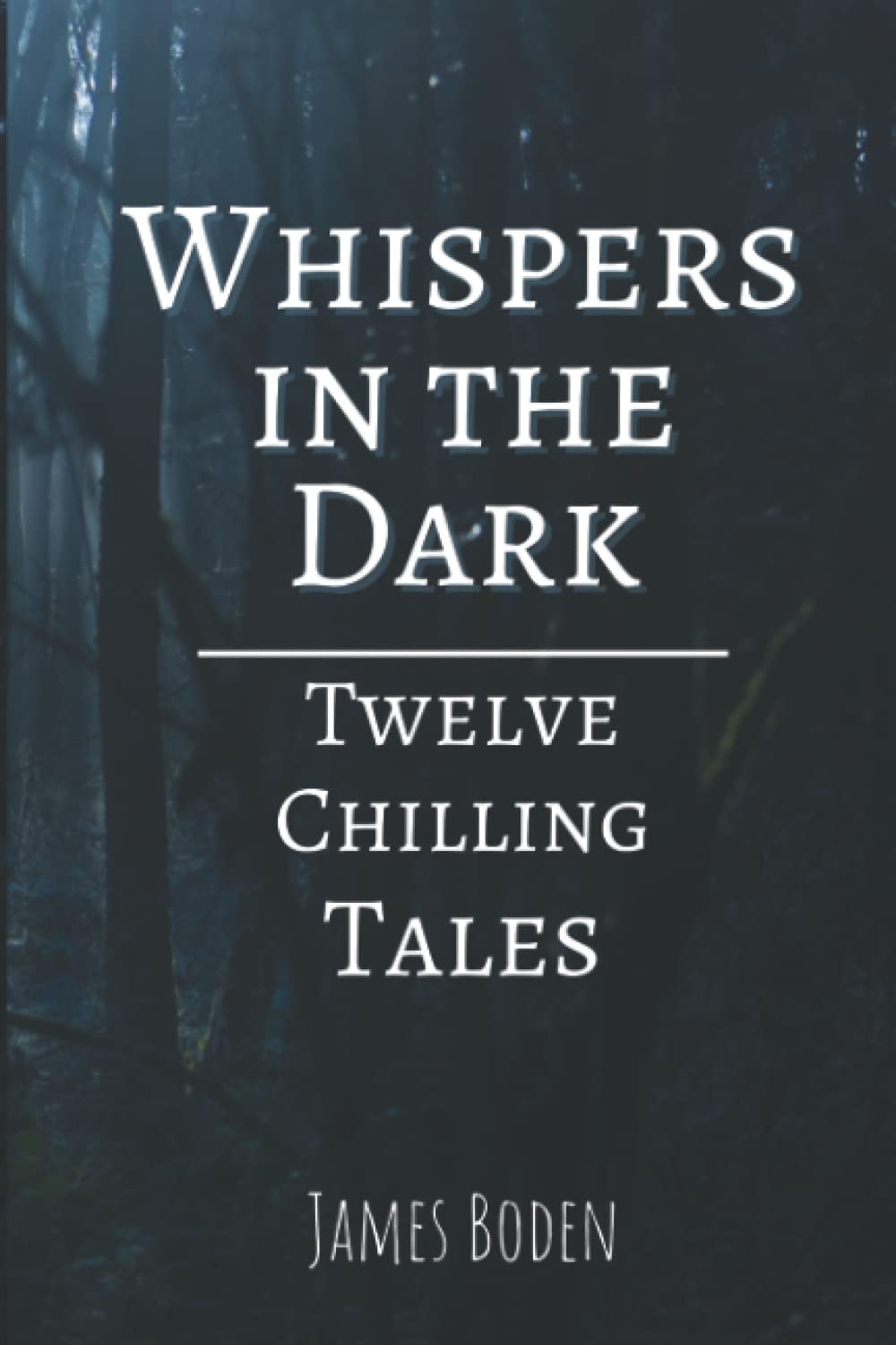 Whispers in the Dark: Twelve Chilling Tales poster
