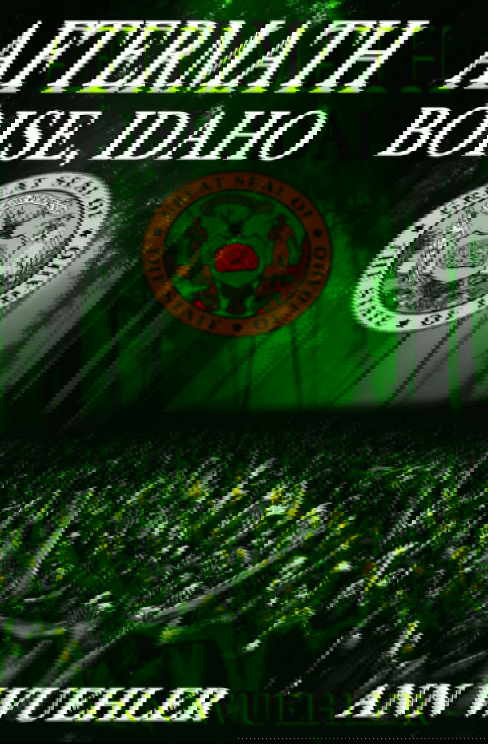 Aftermath: Boise Idaho poster