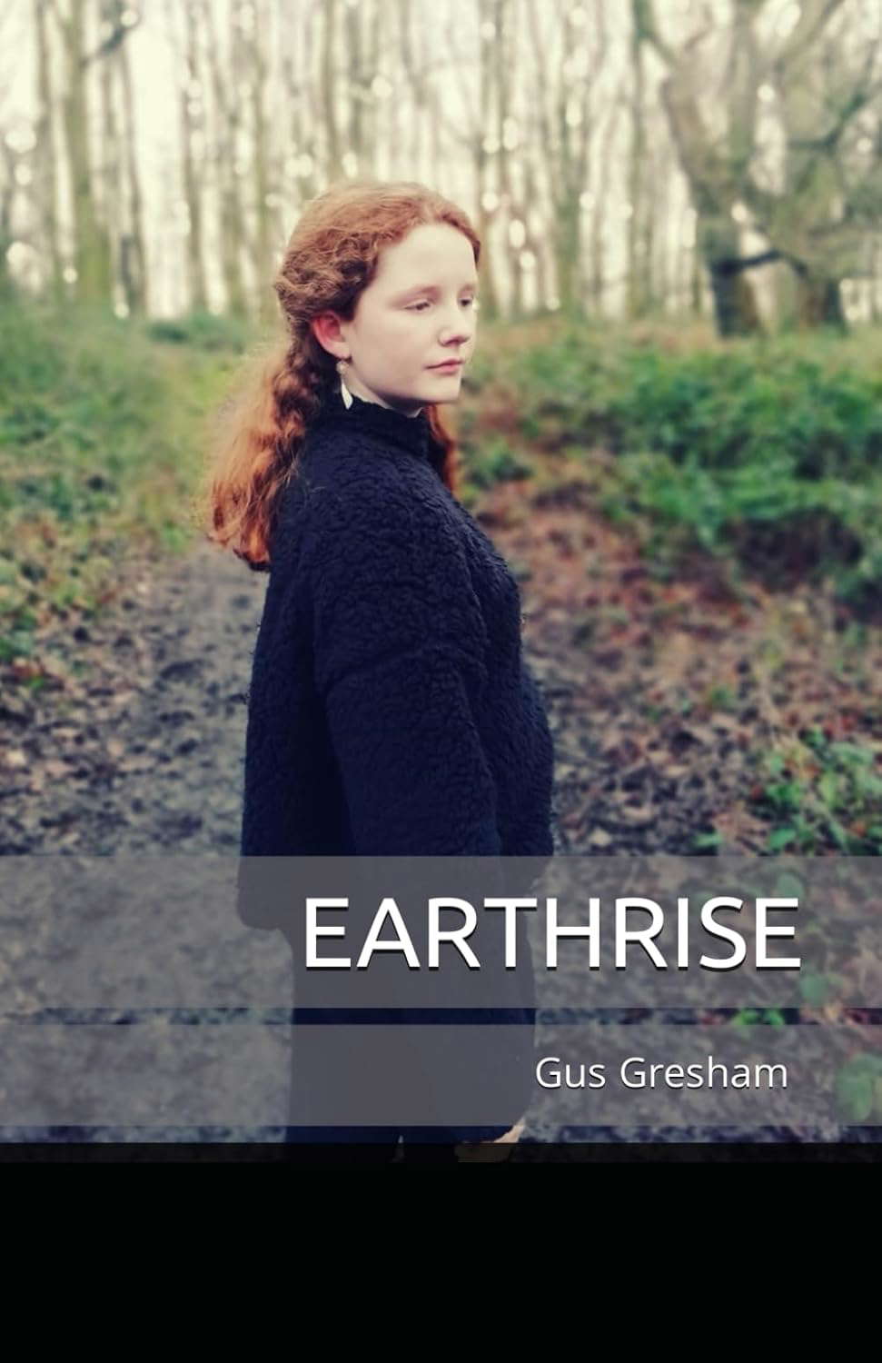 EARTHRISE poster