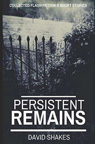 Persistent Remains poster