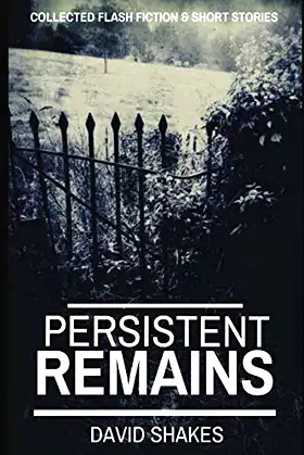 Persistent Remains poster