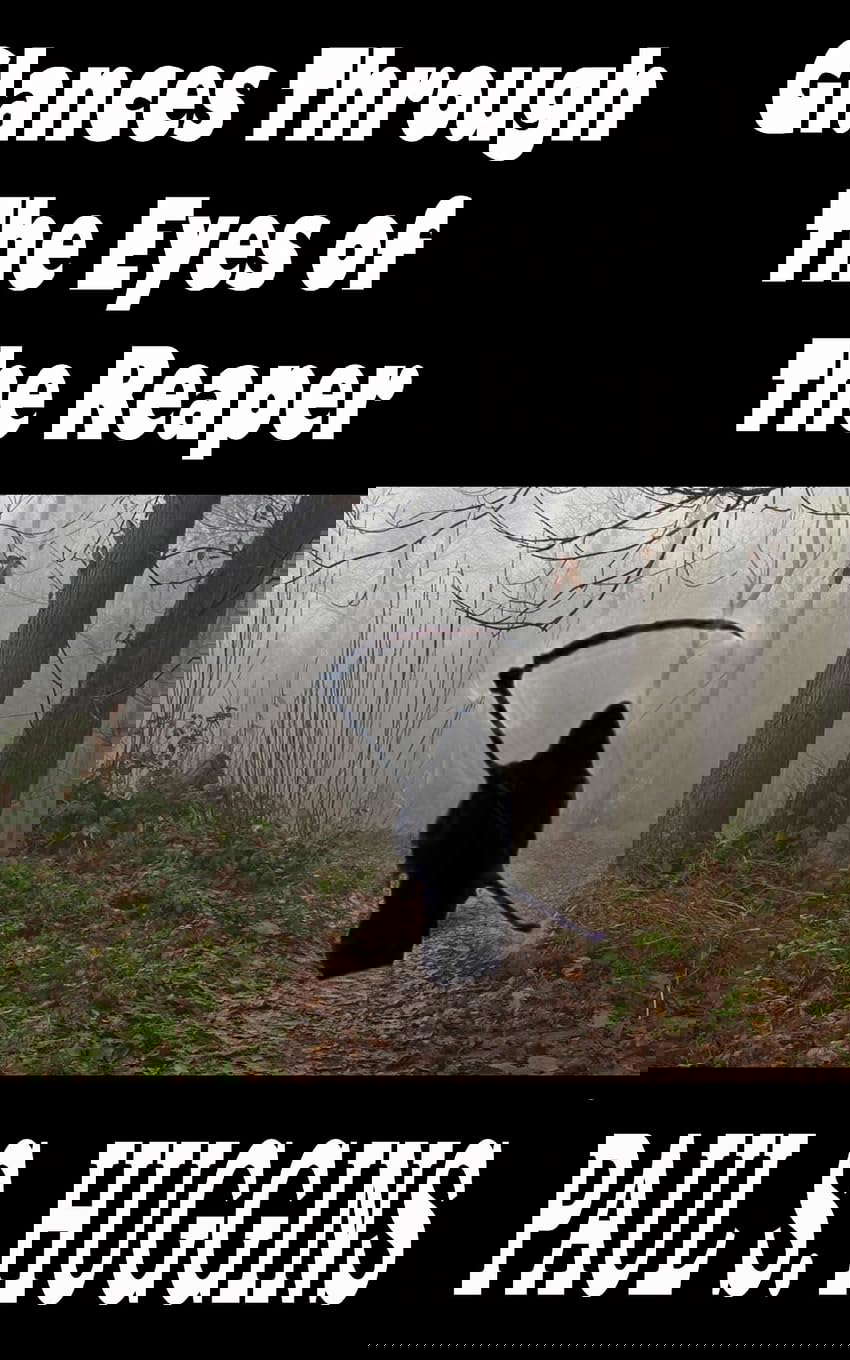 Glances Through the Eyes of the Reaper poster