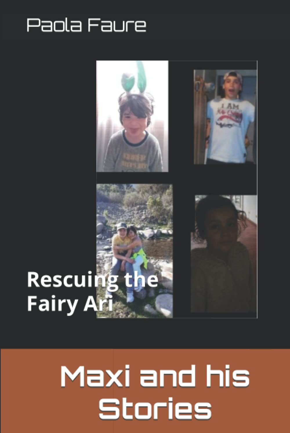 Maxi and his Stories: Rescuing the Fairy Ari (Maxi and his histories) poster