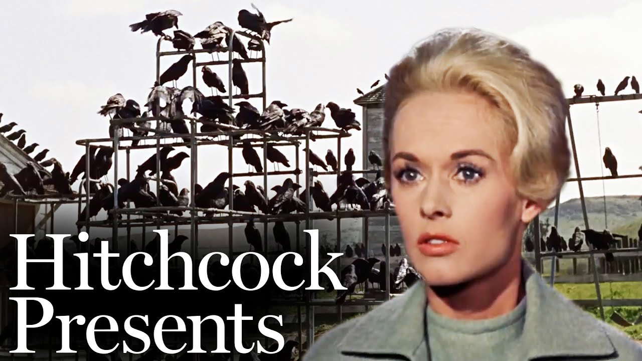 A Gathering Of Crows - The Birds (1963) | Hitchcock Presents