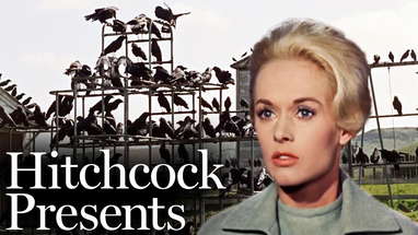 A Gathering Of Crows - The Birds (1963) | Hitchcock Presents poster