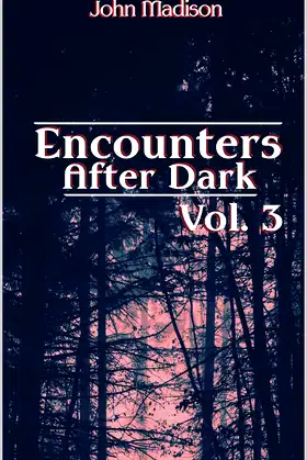 Encounters After Dark: Volume 3 poster