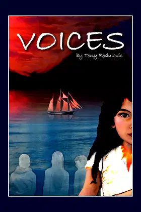 Voices poster