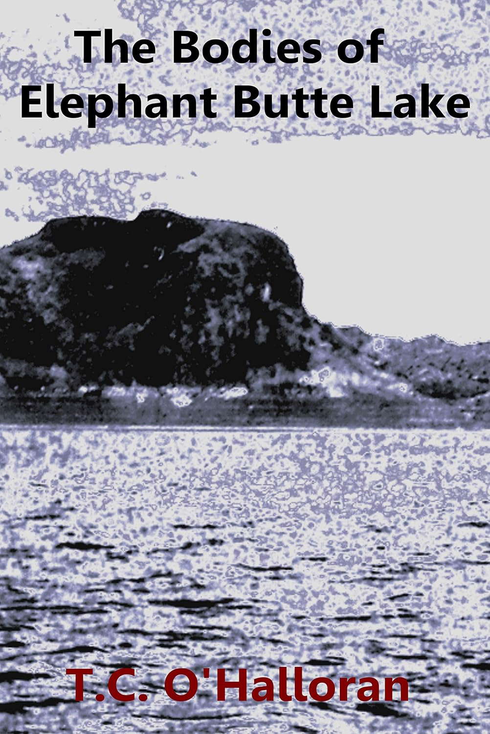 The Bodies of Elephant Butte Lake poster