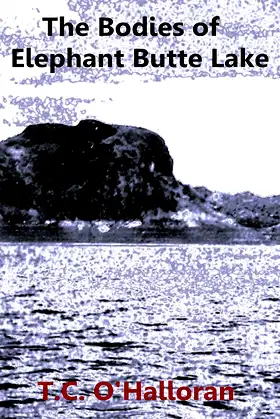 The Bodies of Elephant Butte Lake poster