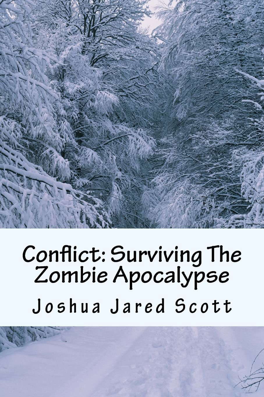 Conflict: Surviving The Zombie Apocalypse poster