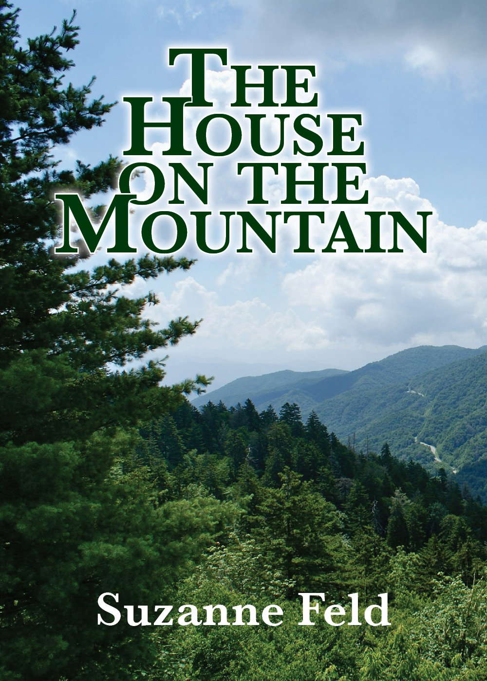 The House on the Mountain poster