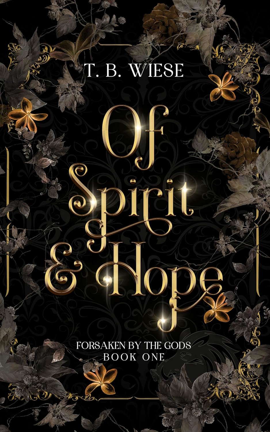 Of Spirit & Hope (Forsaken by the Gods Book 1) poster
