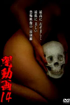 Tokyo Videos of Horror 14 poster