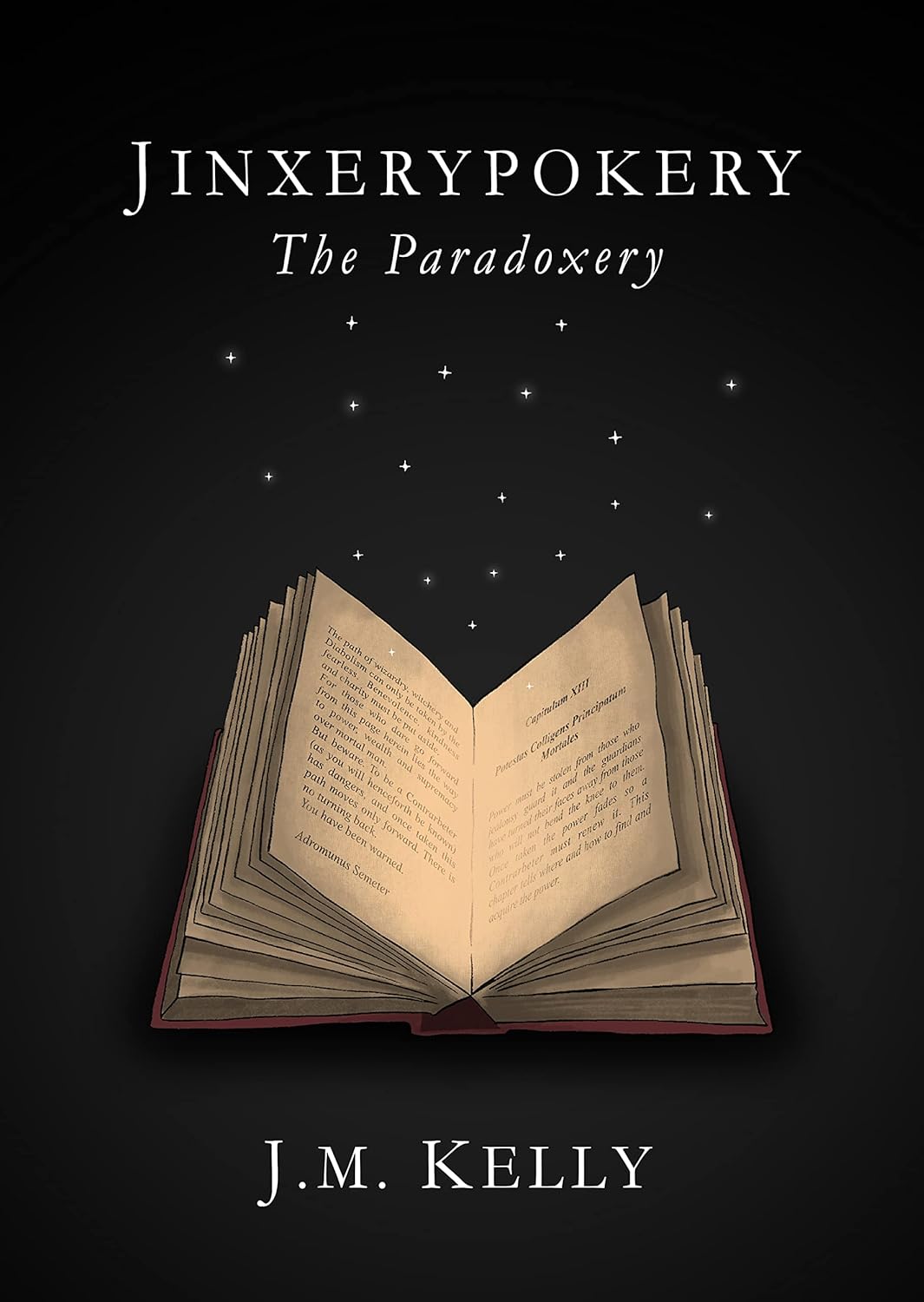 Jinxerypokery: The Paradoxery poster