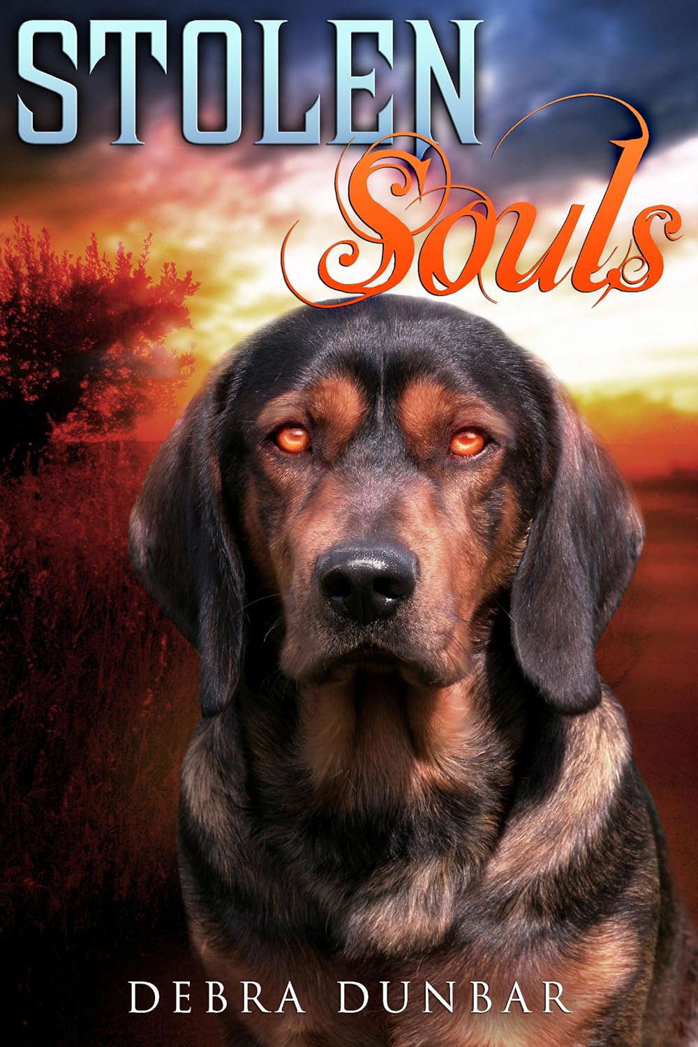 Stolen Souls (Imp World Series) poster